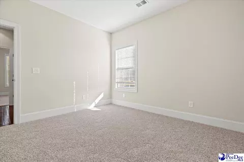 408 Brush Brook Dr, Effingham, SC 29541 photo 31