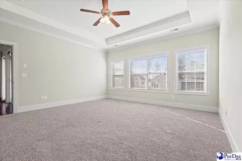 408 Brush Brook Dr, Effingham, SC 29541 photo 19