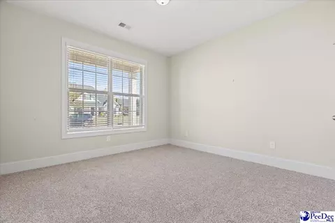 408 Brush Brook Dr, Effingham, SC 29541 photo 28