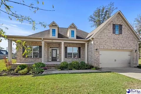 408 Brush Brook Dr, Effingham, SC 29541 photo 1