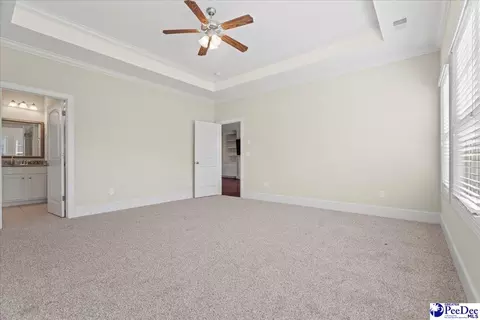 408 Brush Brook Dr, Effingham, SC 29541 photo 20