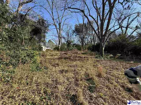 215 Scotch Rd, Chesterfield, SC 29709 photo 10