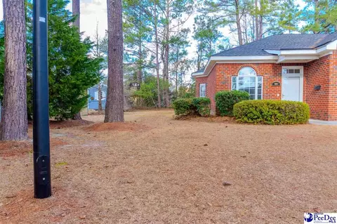 1007 Squires Pointe Ln, Dillon, SC 29536 photo 2