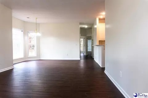 1007 Squires Pointe Ln, Dillon, SC 29536 photo 6