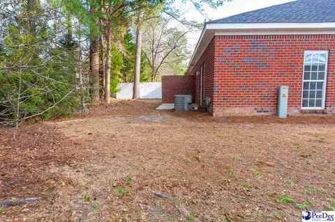 1007 Squires Pointe Ln, Dillon, SC 29536 photo 4
