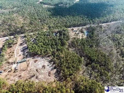 3486 Hwy 1 S, Cheraw, SC 29520 photo 36