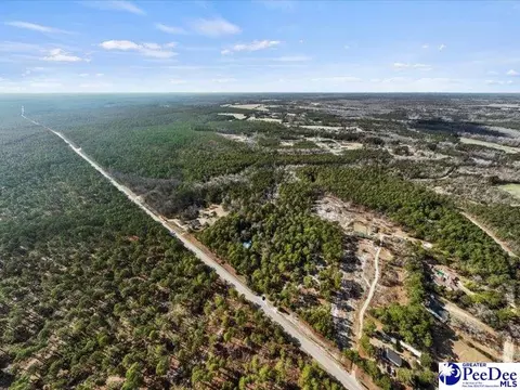 3486 Hwy 1 S, Cheraw, SC 29520 photo 40