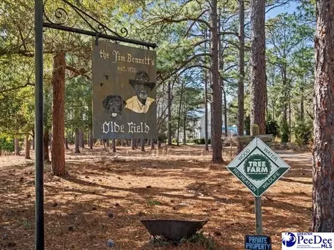 3486 Hwy 1 S, Cheraw, SC 29520 photo 32