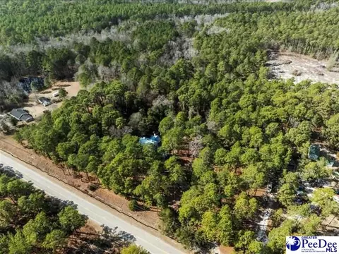 3486 Hwy 1 S, Cheraw, SC 29520 photo 4