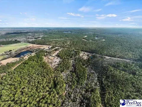 3486 Hwy 1 S, Cheraw, SC 29520 photo 35