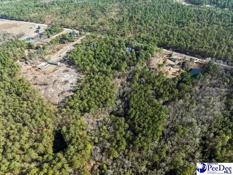 3486 Hwy 1 S, Cheraw, SC 29520 photo 34