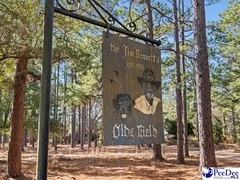 3486 Hwy 1 S, Cheraw, SC 29520 photo 2