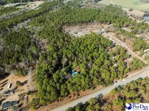 3486 Hwy 1 S, Cheraw, SC 29520 photo 38
