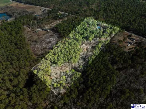 3486 Hwy 1 S, Cheraw, SC 29520 photo 42