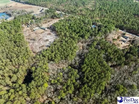 3486 Hwy 1 S, Cheraw, SC 29520 photo 3