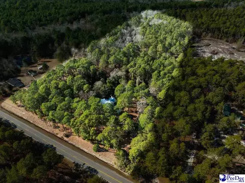 3486 Hwy 1 S, Cheraw, SC 29520 photo 41