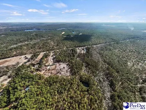 3486 Hwy 1 S, Cheraw, SC 29520 photo 37