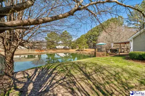 2301 Petal Path, Effingham, SC 29541 photo 10