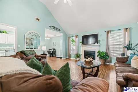 2301 Petal Path, Effingham, SC 29541 photo 12
