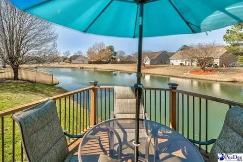 2301 Petal Path, Effingham, SC 29541 photo 3