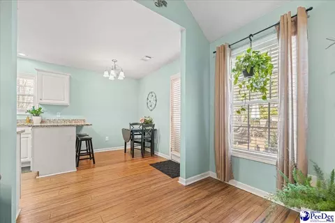 2301 Petal Path, Effingham, SC 29541 photo 18