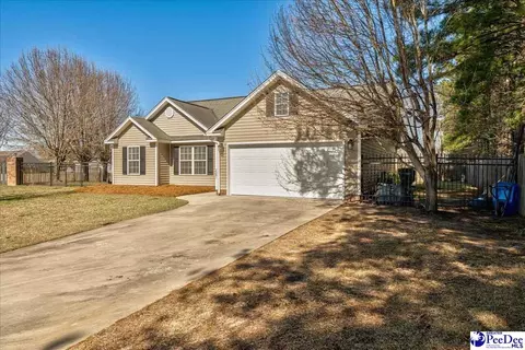 2301 Petal Path, Effingham, SC 29541 photo 2