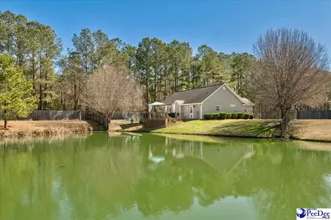 2301 Petal Path, Effingham, SC 29541 photo 11
