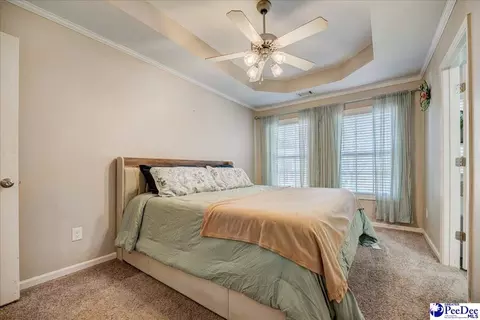2301 Petal Path, Effingham, SC 29541 photo 22