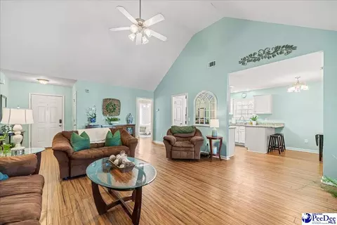 2301 Petal Path, Effingham, SC 29541 photo 17