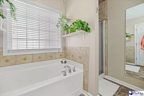 2301 Petal Path, Effingham, SC 29541 photo 30