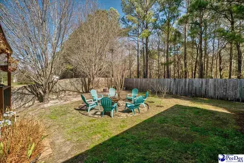 2301 Petal Path, Effingham, SC 29541 photo 6