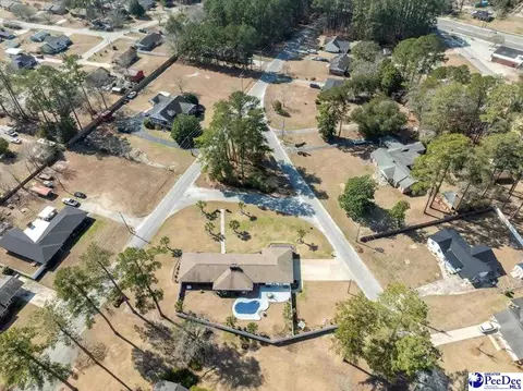 310 Lee Cir, Dillon, SC 29536 photo 43