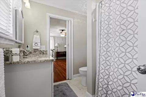 310 Lee Cir, Dillon, SC 29536 photo 22
