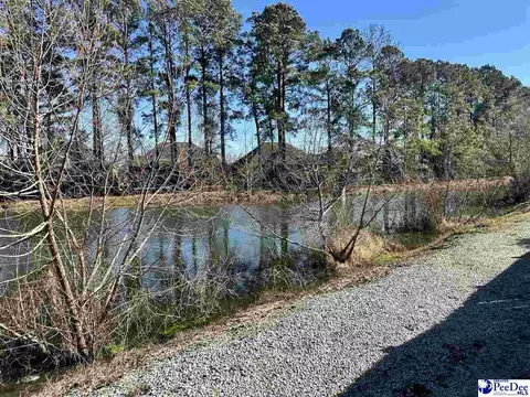3093 Combray Cir, Florence, SC 29501 photo 26