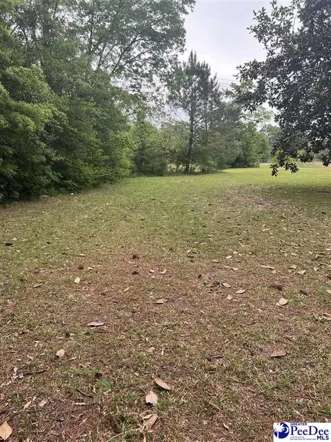 405 Clifton St, Marion, SC 29571