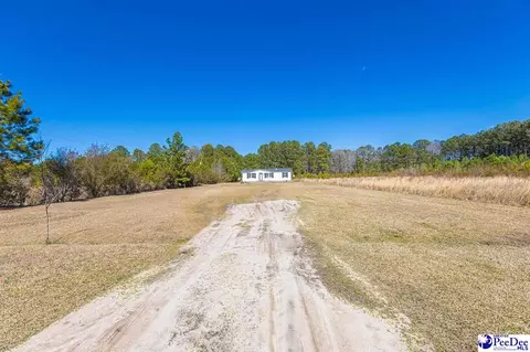 4246 Cherry Johnson Rd, Effingham, SC 29541 photo 1