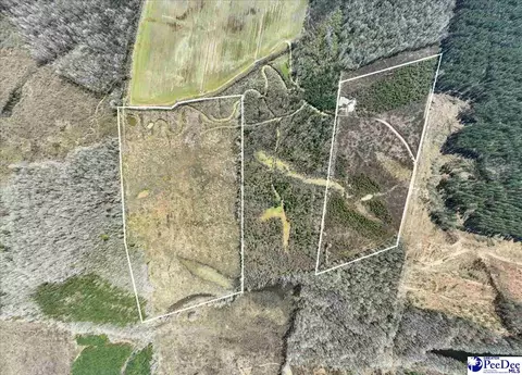 Cash Swamp Rd, Cheraw, SC 29520