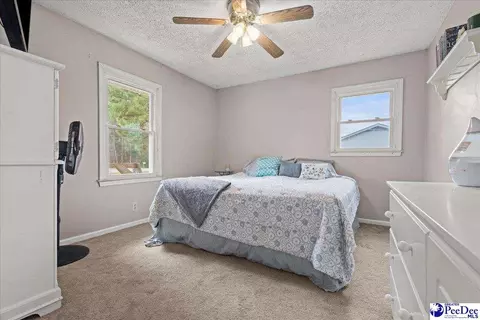 4517 Moore Rd, Effingham, SC 29541 photo 14