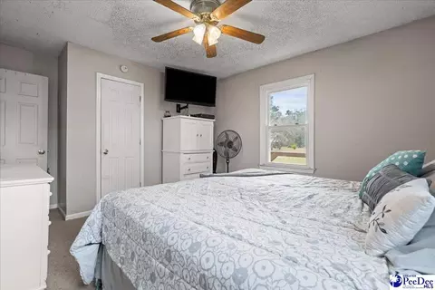4517 Moore Rd, Effingham, SC 29541 photo 15