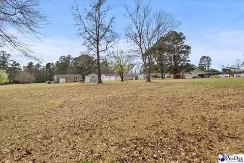 4517 Moore Rd, Effingham, SC 29541 photo 27