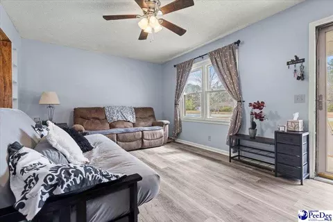 4517 Moore Rd, Effingham, SC 29541 photo 4