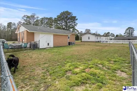 4517 Moore Rd, Effingham, SC 29541 photo 23