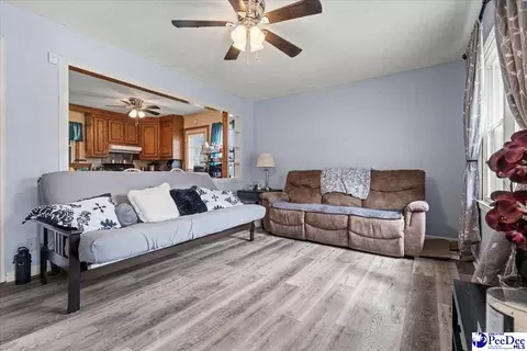 4517 Moore Rd, Effingham, SC 29541 photo 3