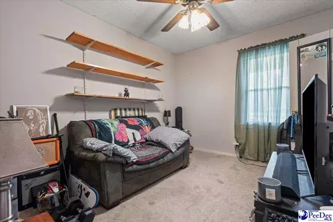 4517 Moore Rd, Effingham, SC 29541 photo 16