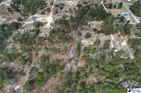 tbd Ozelma Dr, Dillon, SC 29536 photo 4