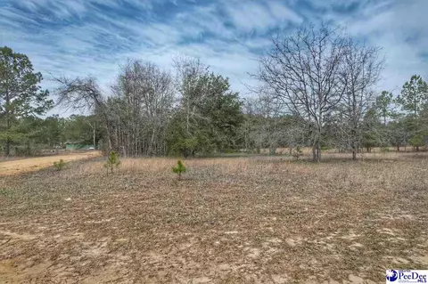 tbd Ozelma Dr, Dillon, SC 29536