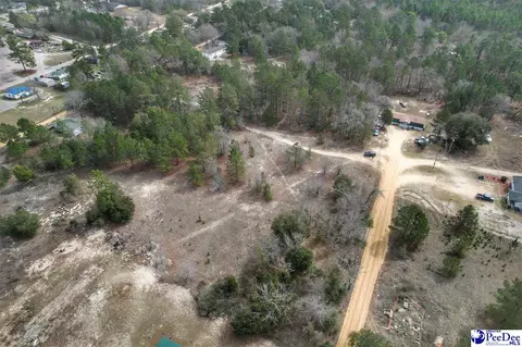 tbd Ozelma Dr, Dillon, SC 29536 photo 6