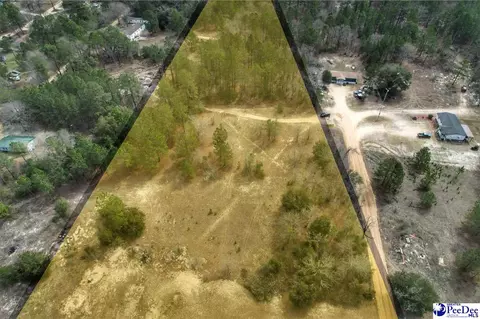 tbd Ozelma Dr, Dillon, SC 29536 photo 7
