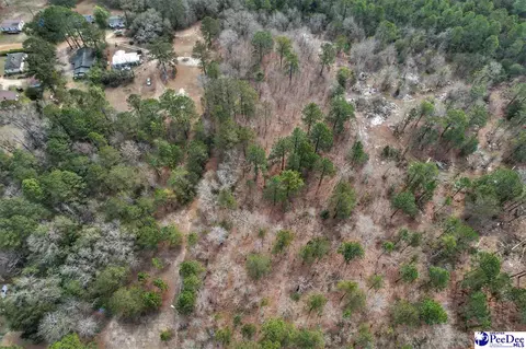 tbd Ozelma Dr, Dillon, SC 29536 photo 5