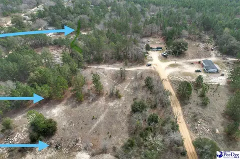 tbd Ozelma Dr, Dillon, SC 29536 photo 3